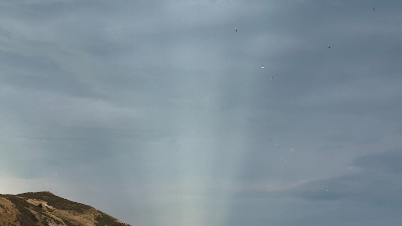 Photo of Others in Aramoana