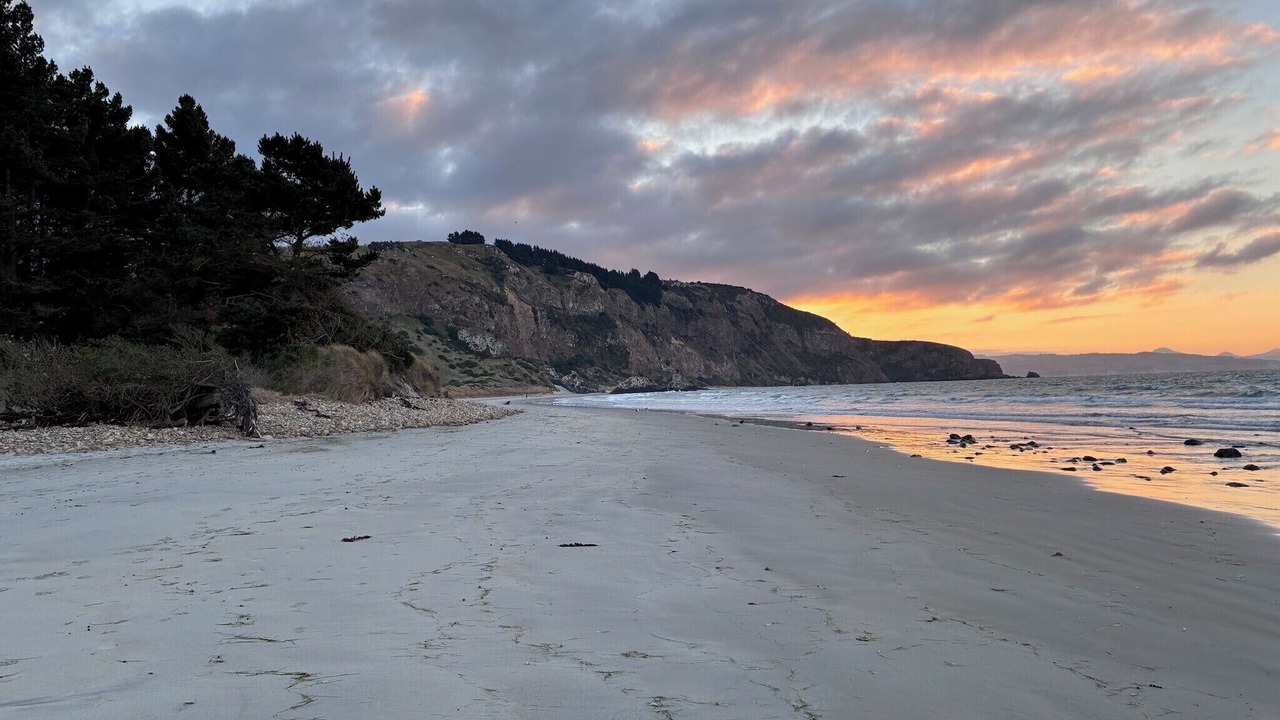 Photo of Others in Aramoana
