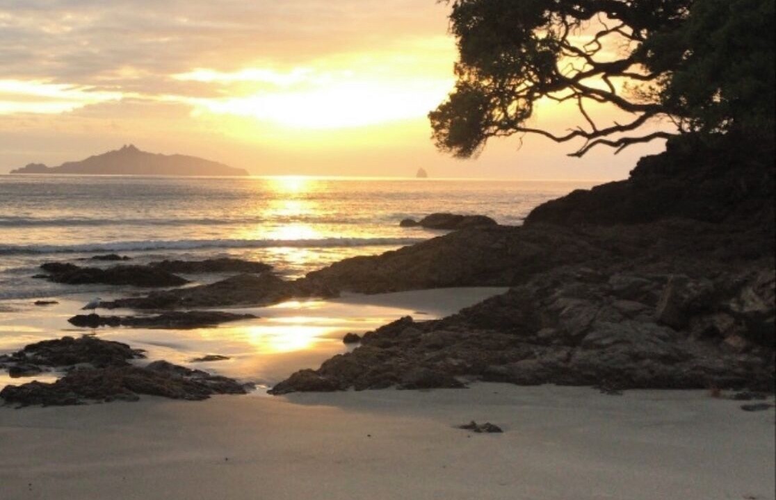 Photo of Others in Waipu Cove