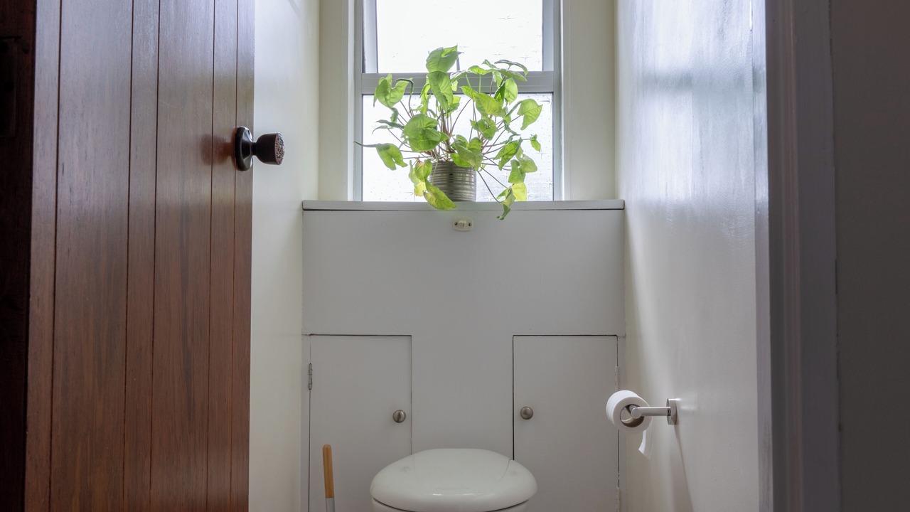Photo of Bathroom in Oropi