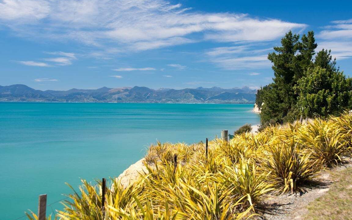 Photo of Others in Tasman