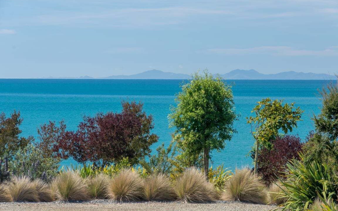 Photo of Others in Tasman