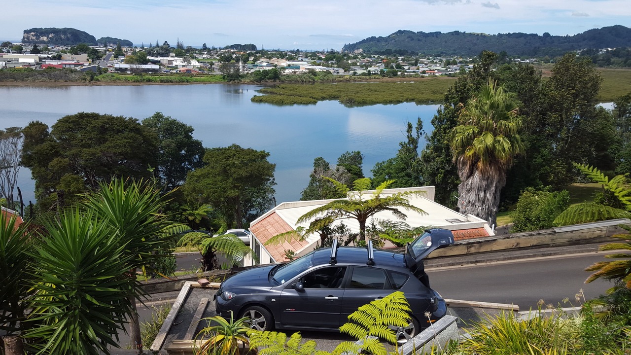 Photo of Others in Whangamata