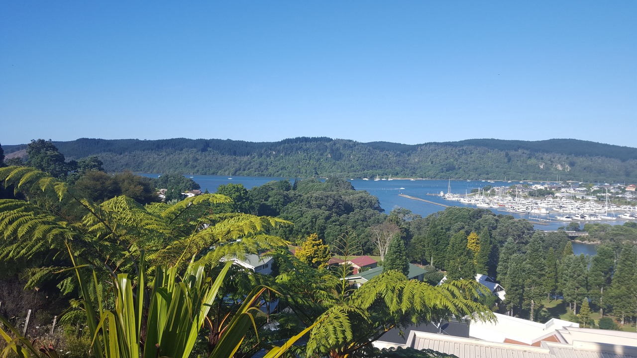 Photo of Others in Whangamata