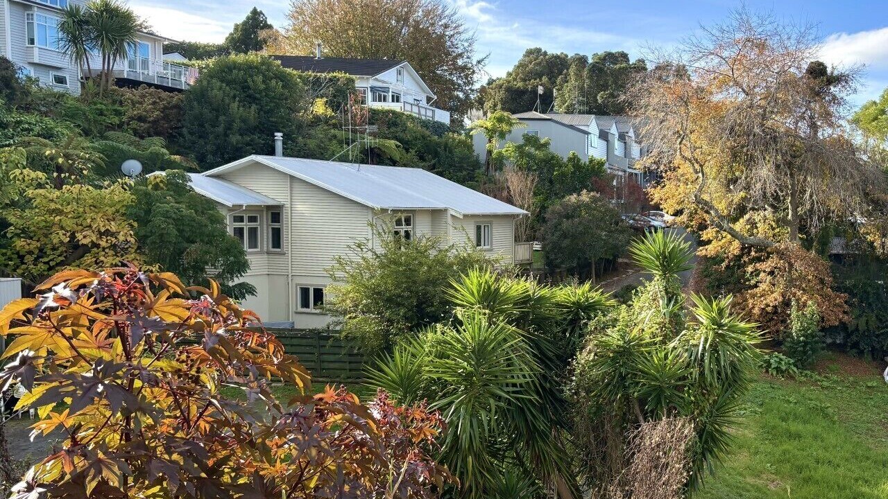 Photo of Others in Tauranga