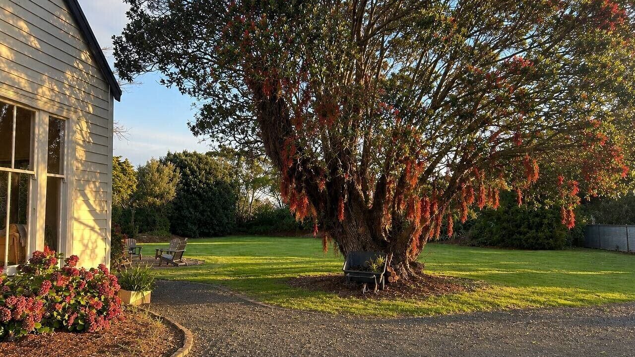 Photo of Outdoor in Coromandel