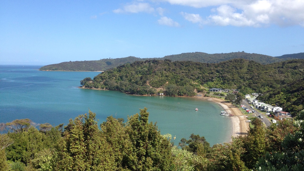 Photo of Others in Coromandel