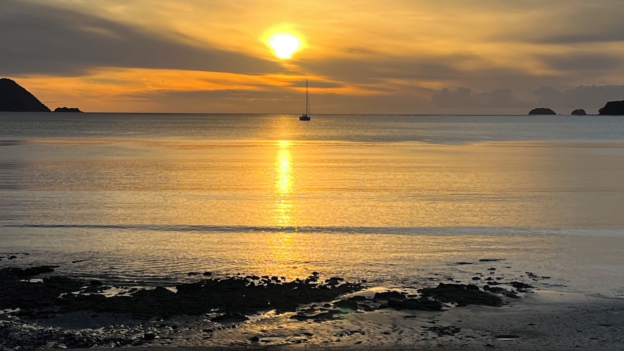 Photo of Others in Coromandel
