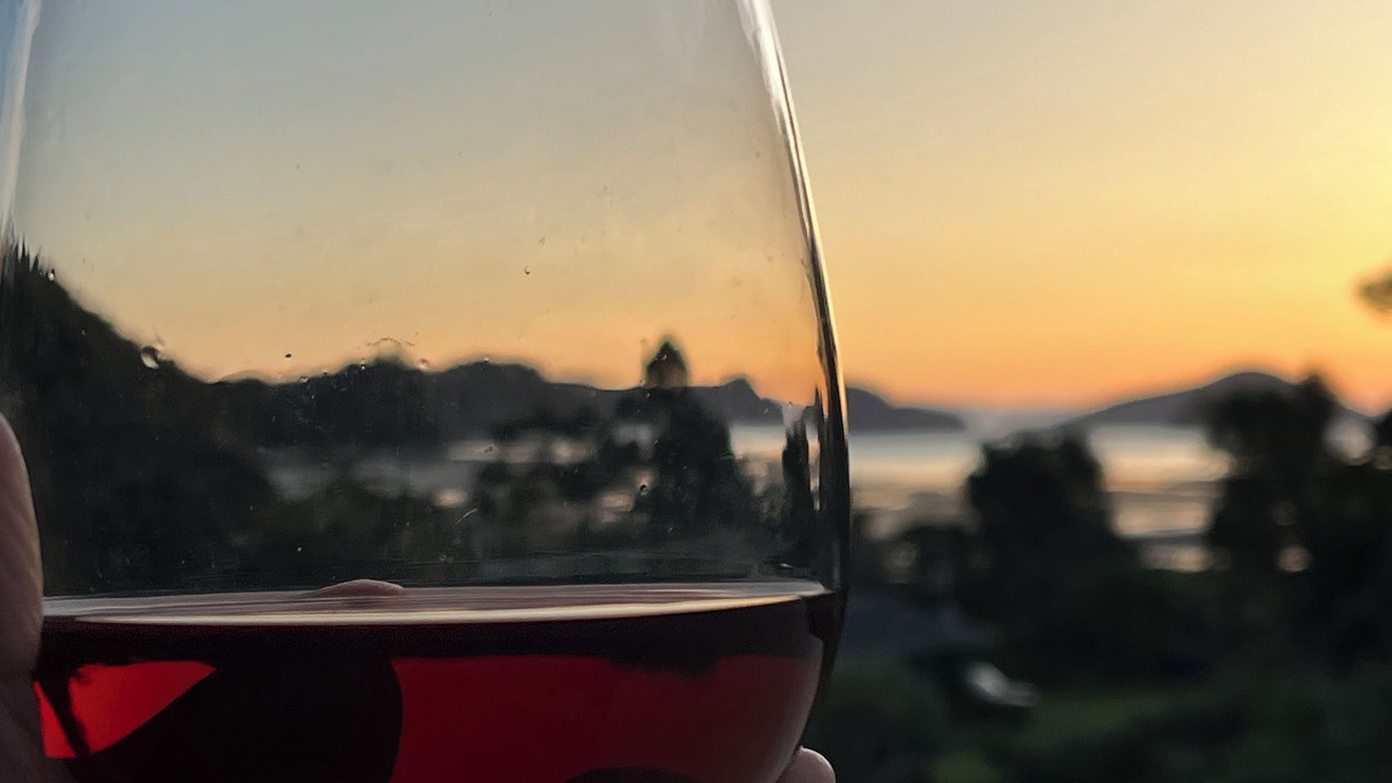 Photo of Others in Coromandel