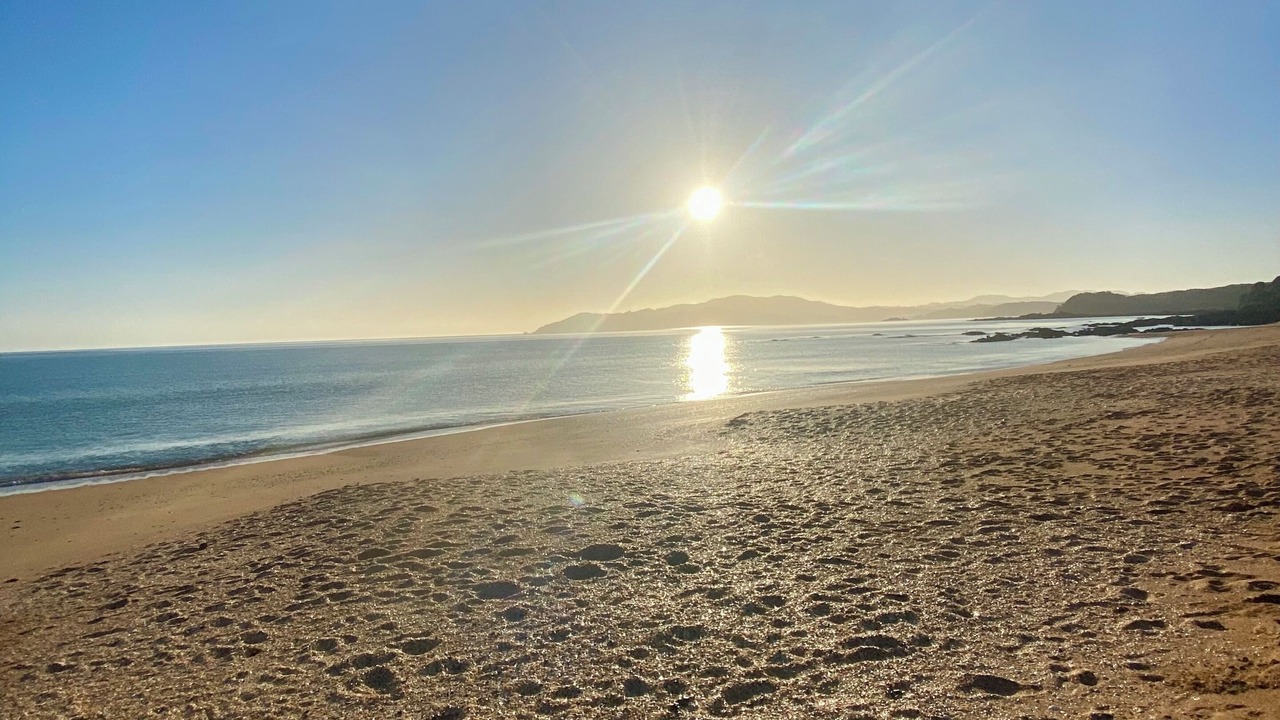 Photo of Others in Cable Bay