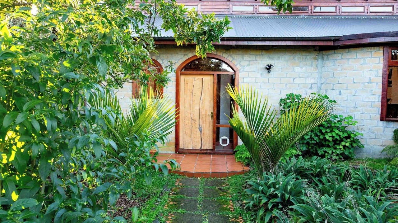 Photo of Outdoor in Tairua