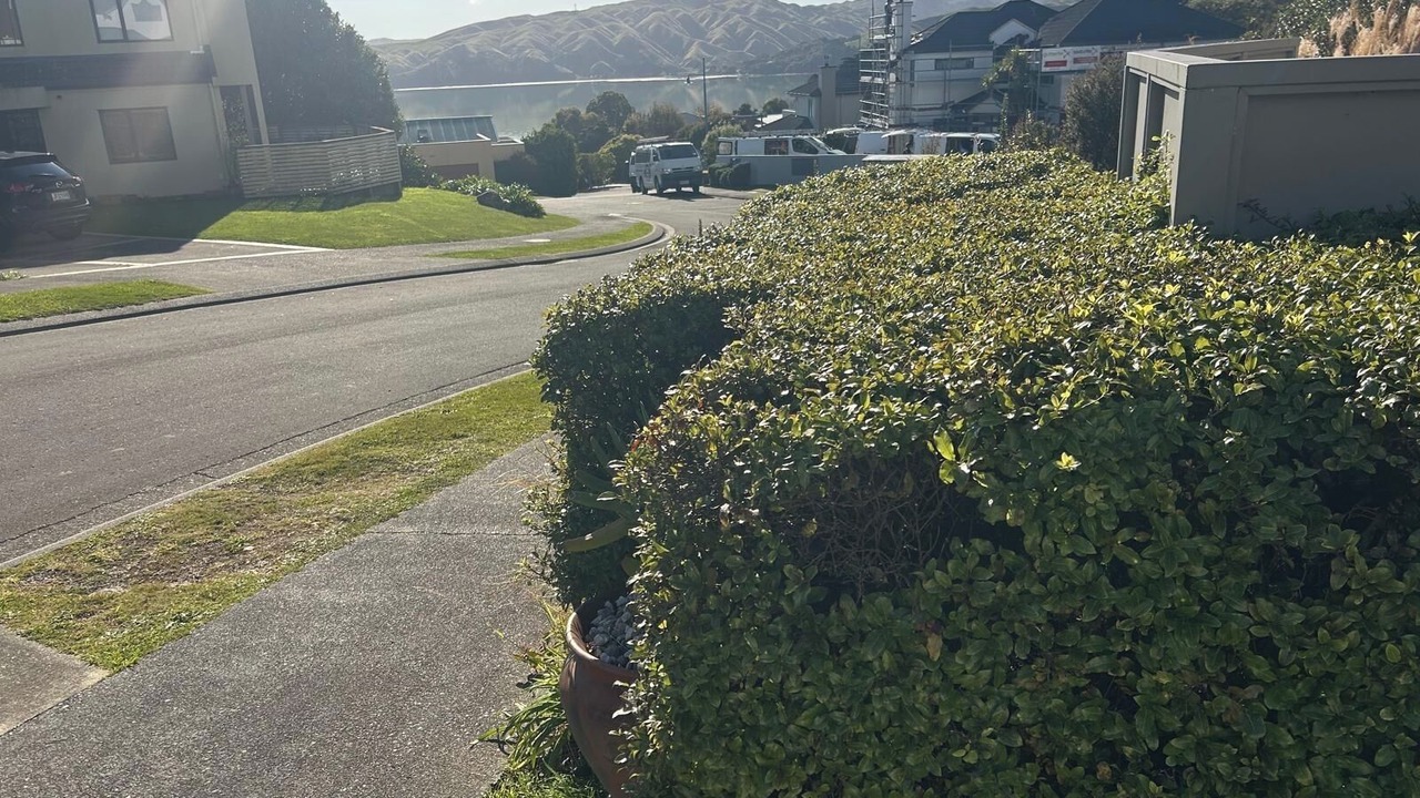 Photo of Outdoor in Whitby