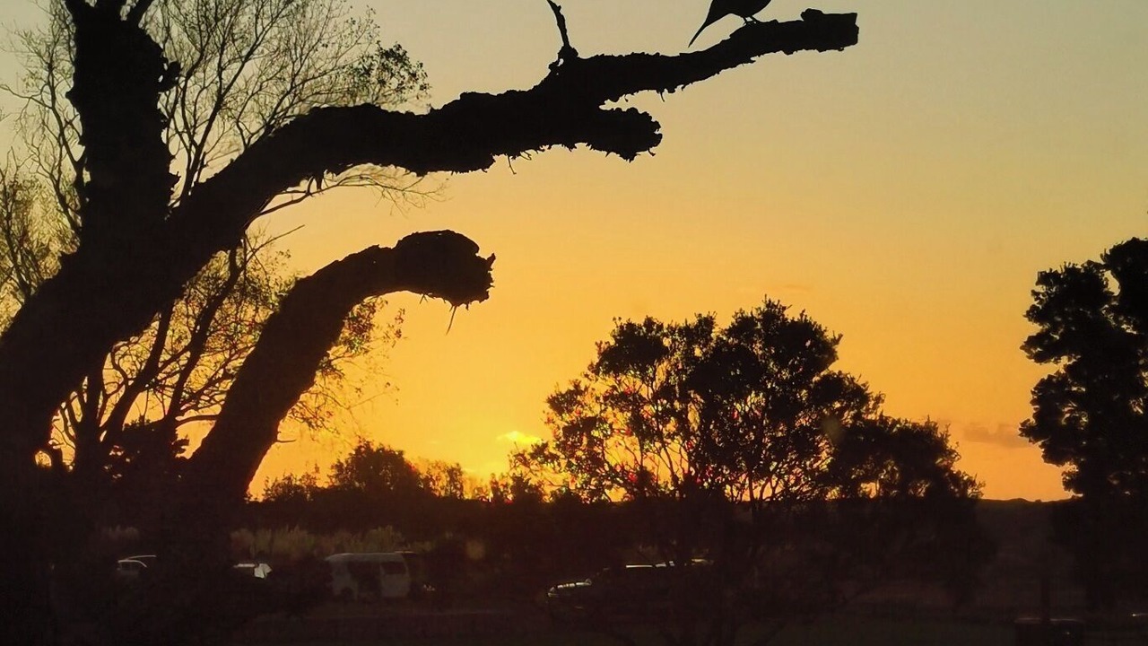 Photo of Others in Port Waikato