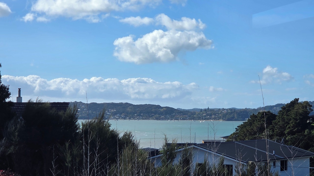 Photo of Others in Paihia