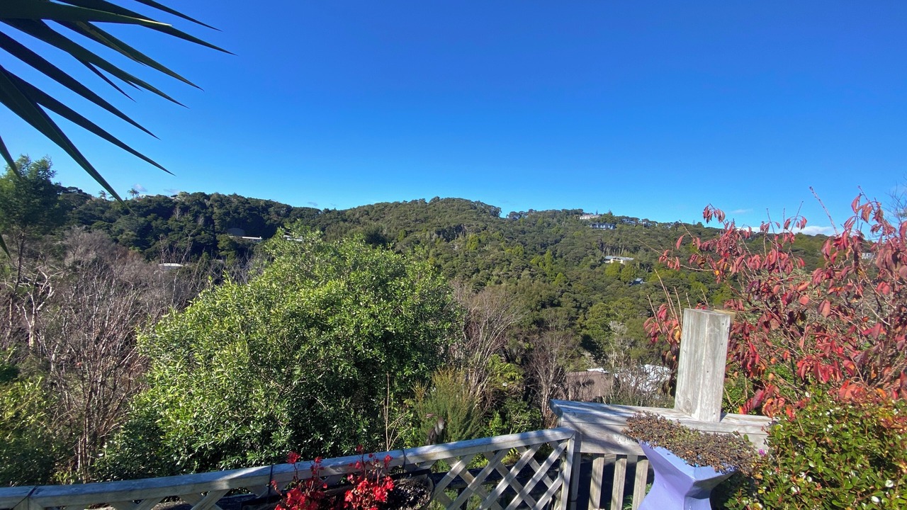 Photo of Others in Paihia
