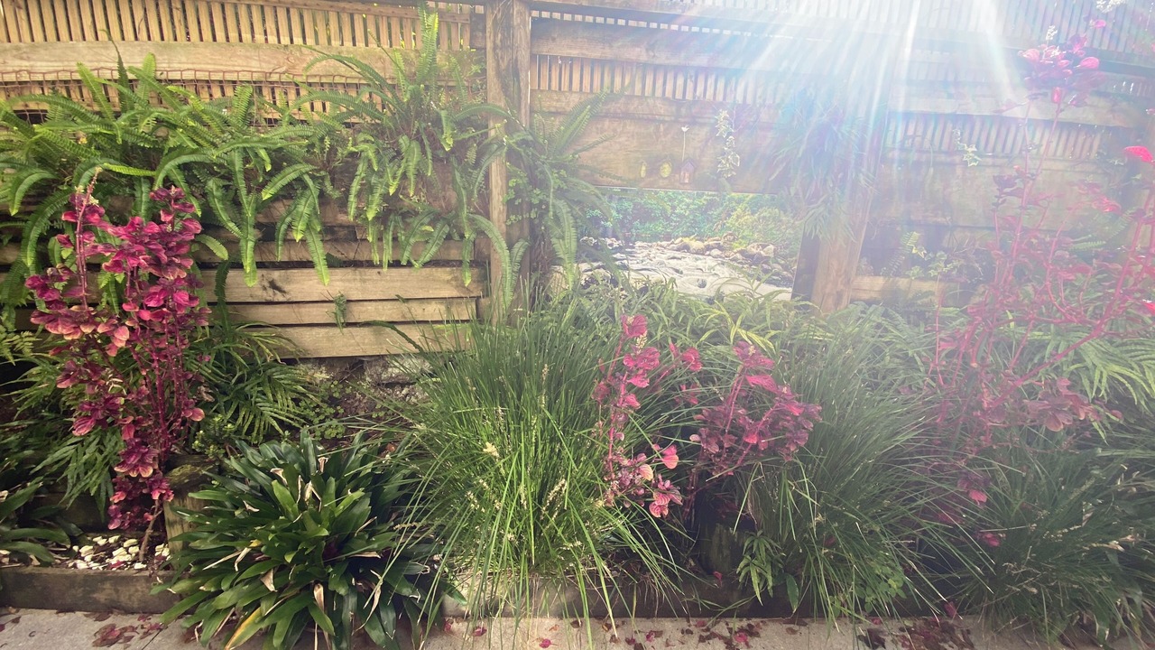 Photo of Outdoor in Paihia