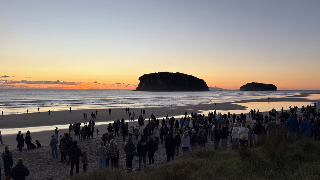 Photo of Others in Whangamata