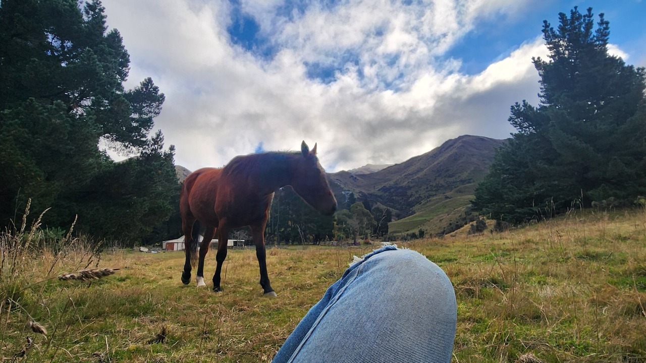 Photo of Others in Danseys Pass