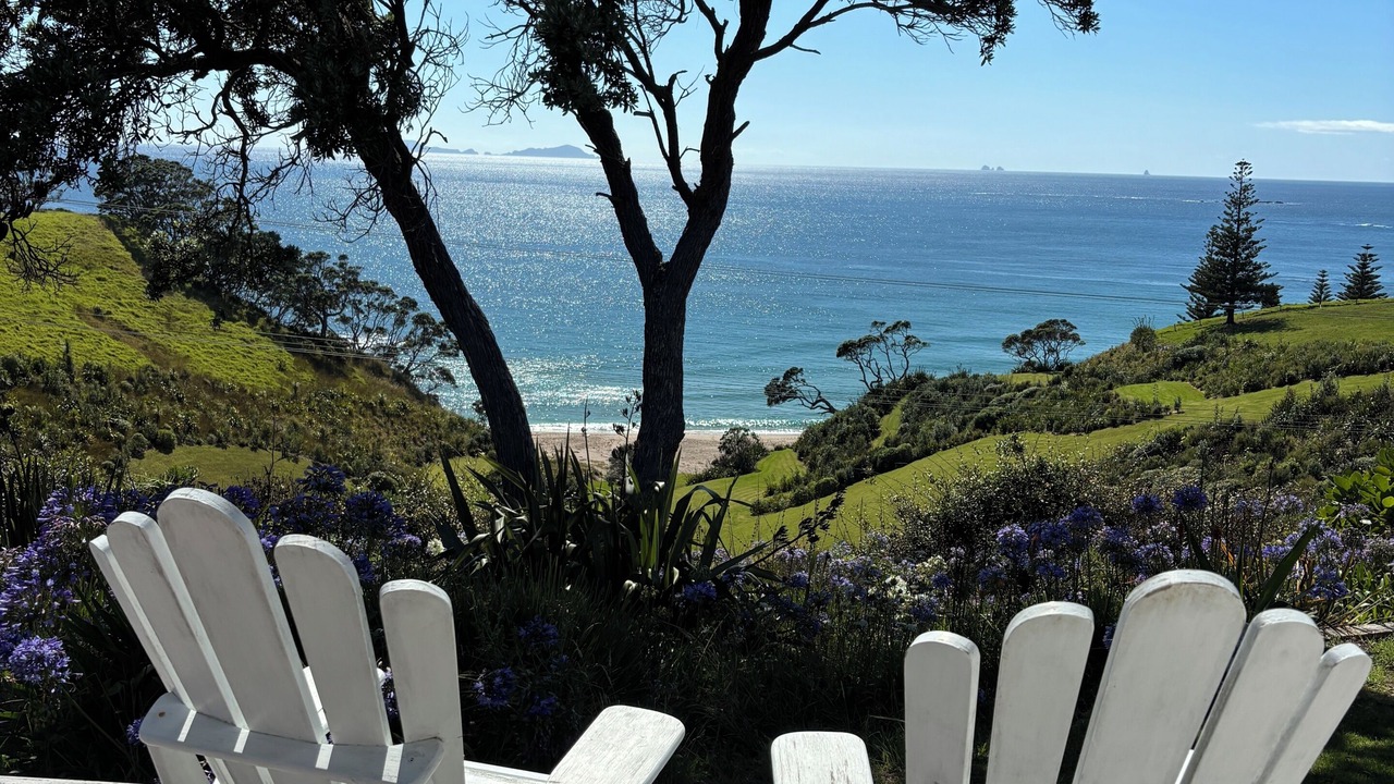 Photo of Outdoor in Whananaki