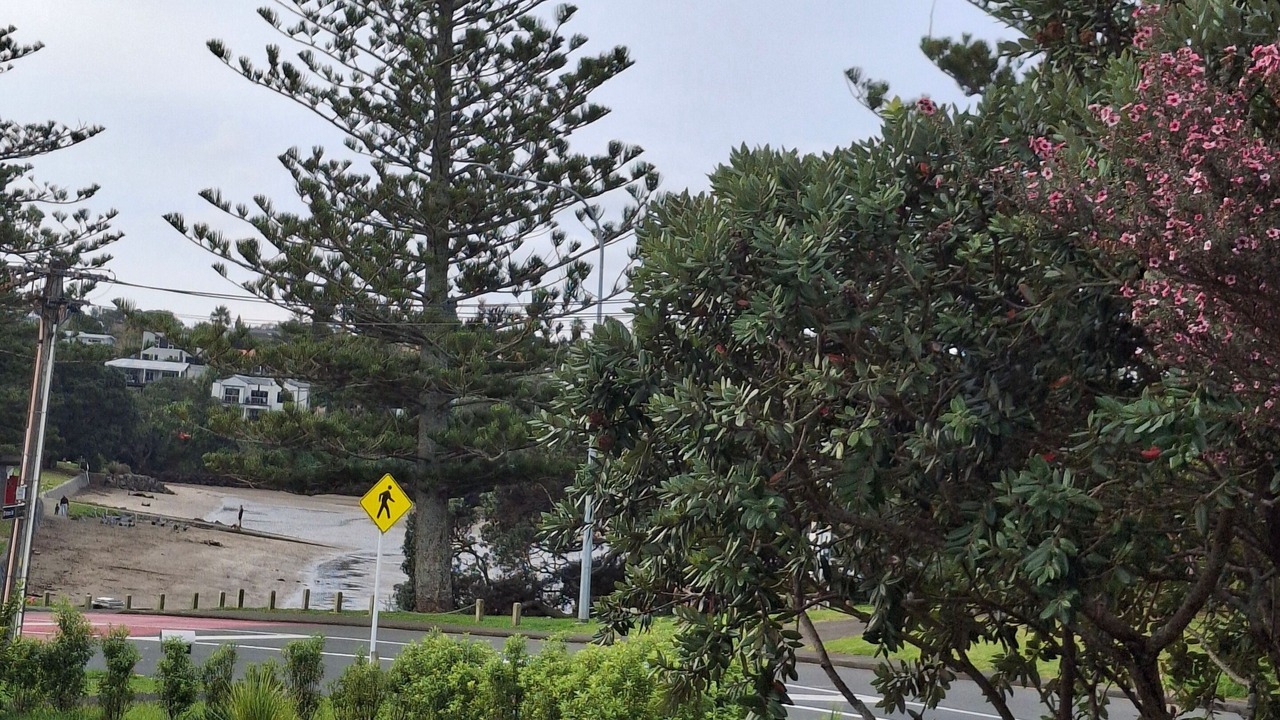 Photo of Outdoor in Torbay
