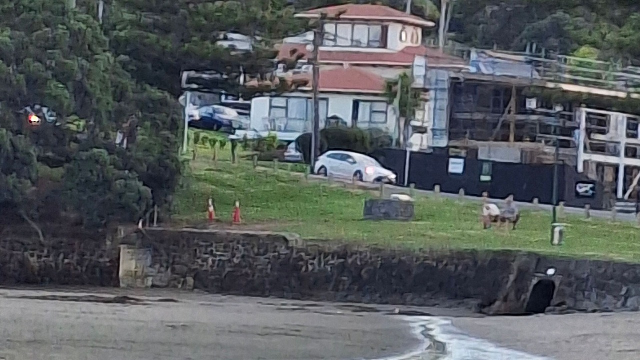 Photo of Others in Torbay