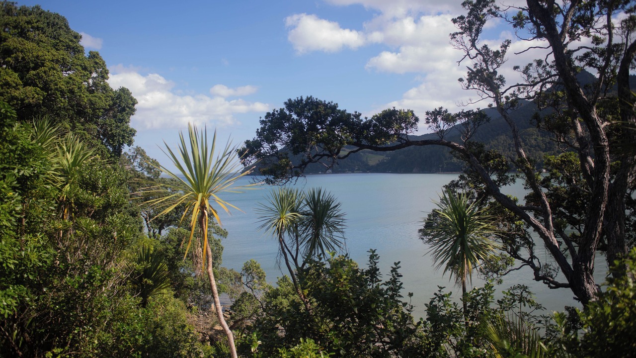 Photo of Bedroom in Huia
