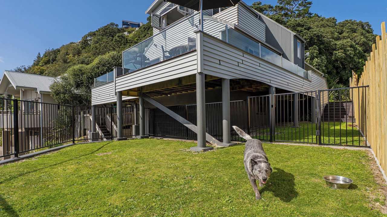 Photo of Others in Tairua