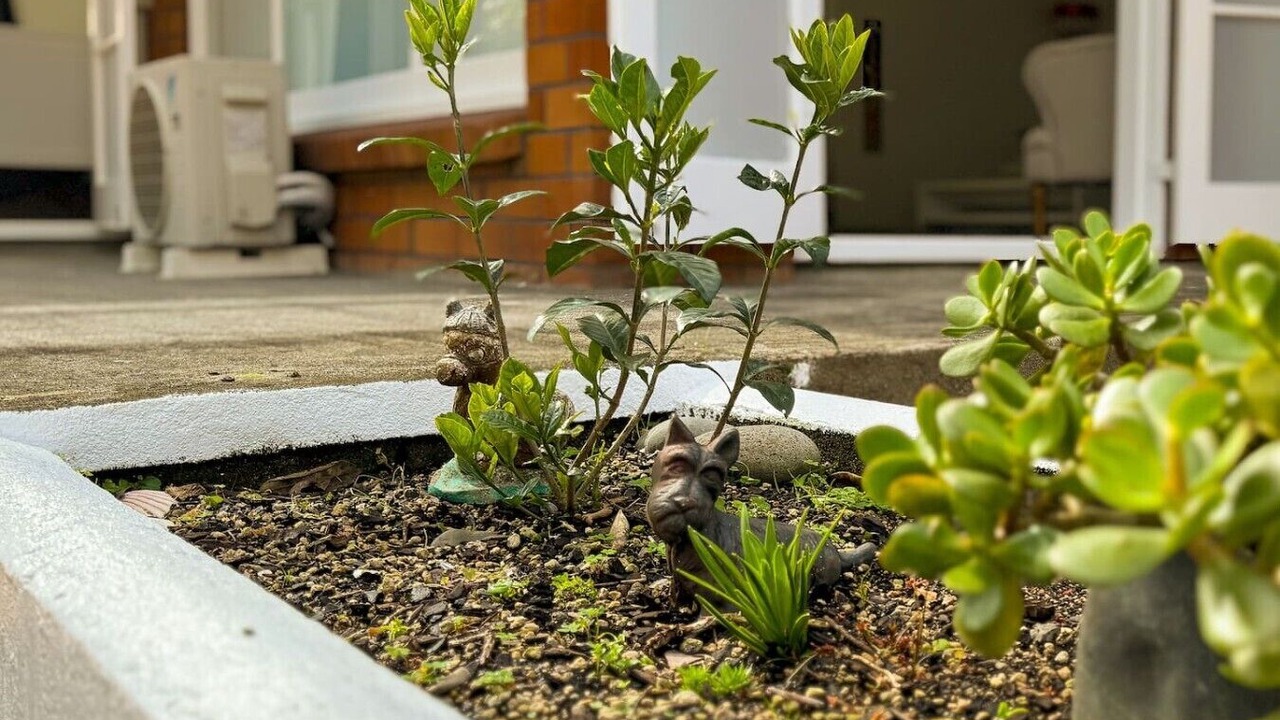 Photo of Outdoor in Forrest Hill