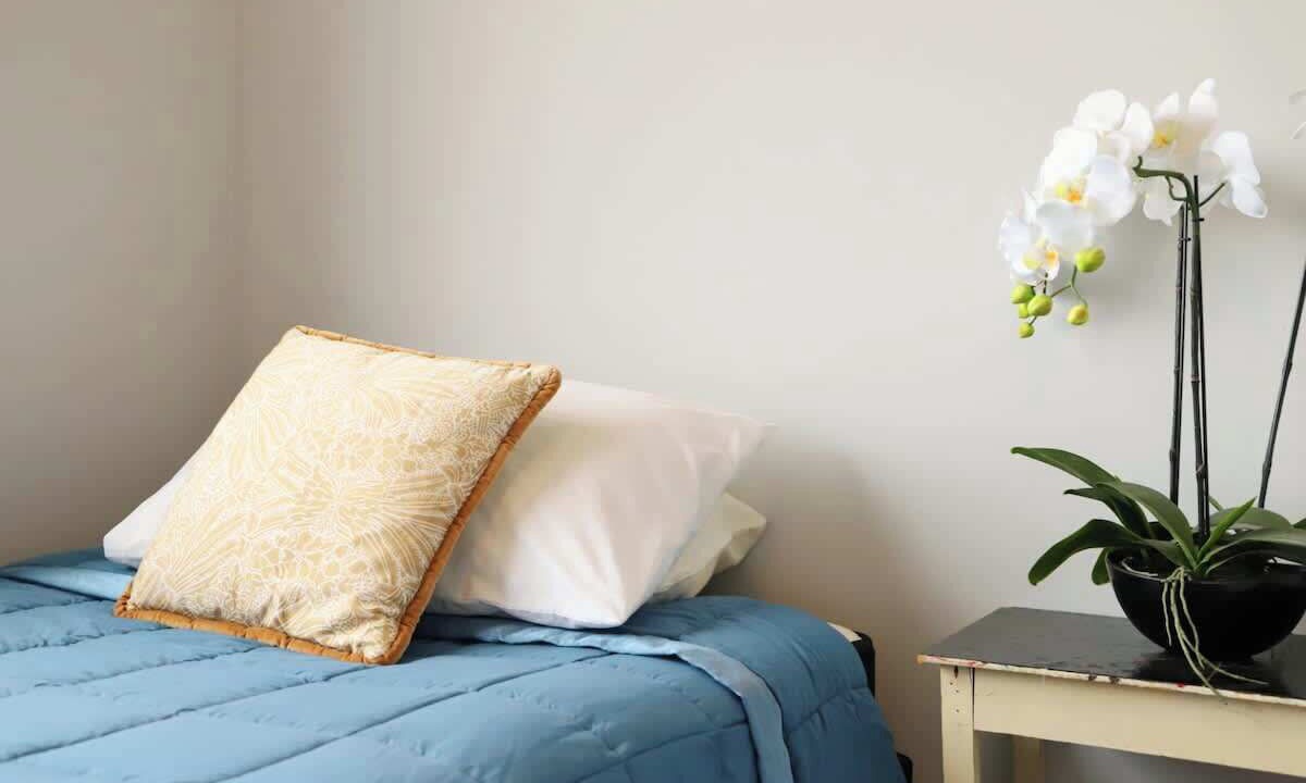 Photo of Bedroom in Whiritoa