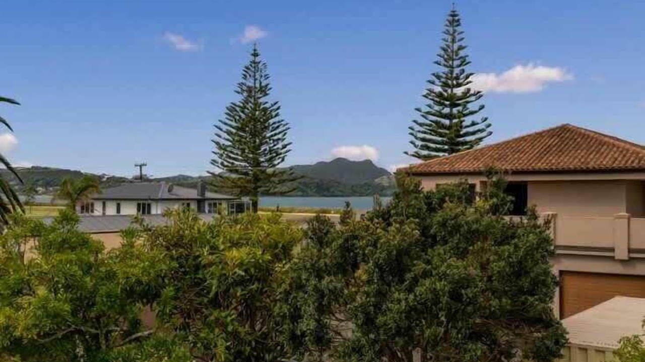 Photo of Others in Whitianga