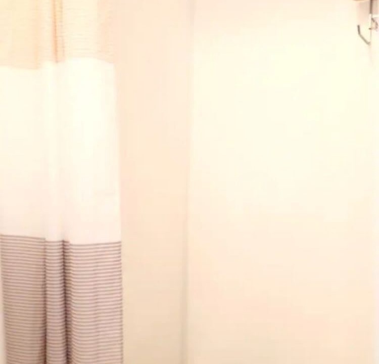 Photo of Bathroom in Whitianga