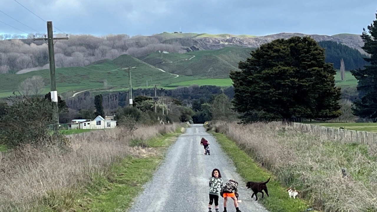 Photo of Others in Kiwitea