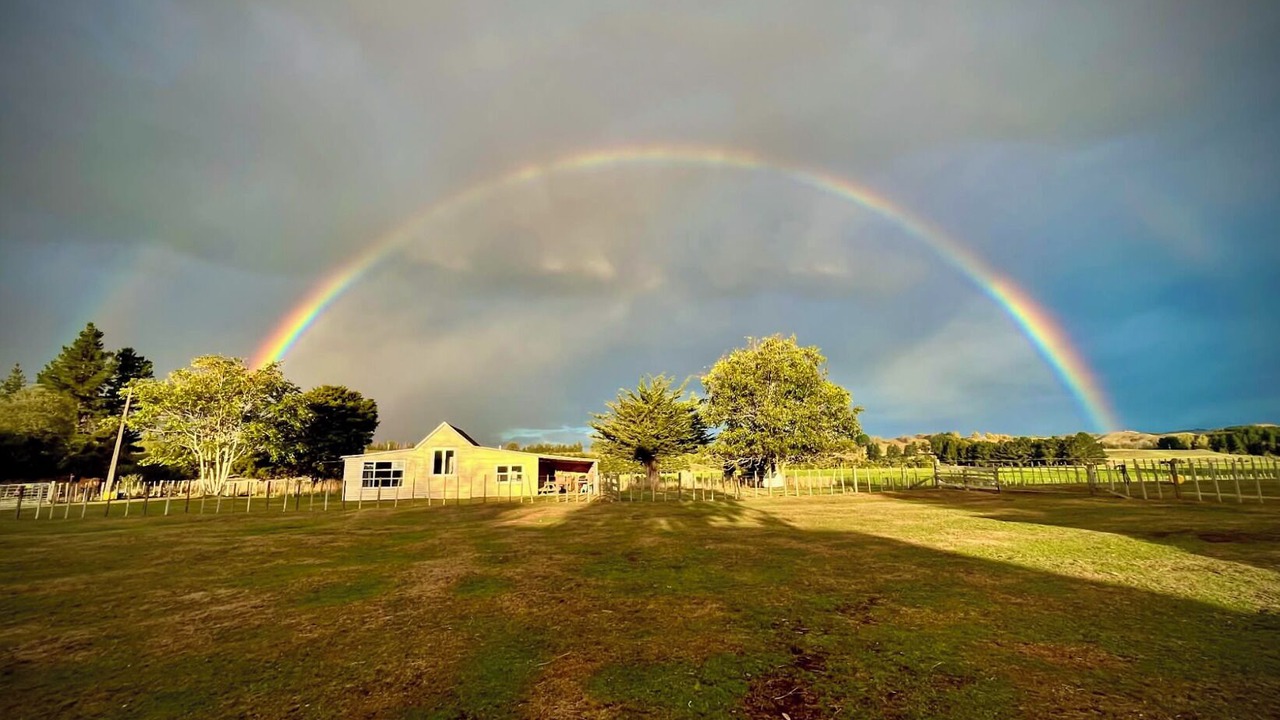 Photo of Outdoor in Kiwitea