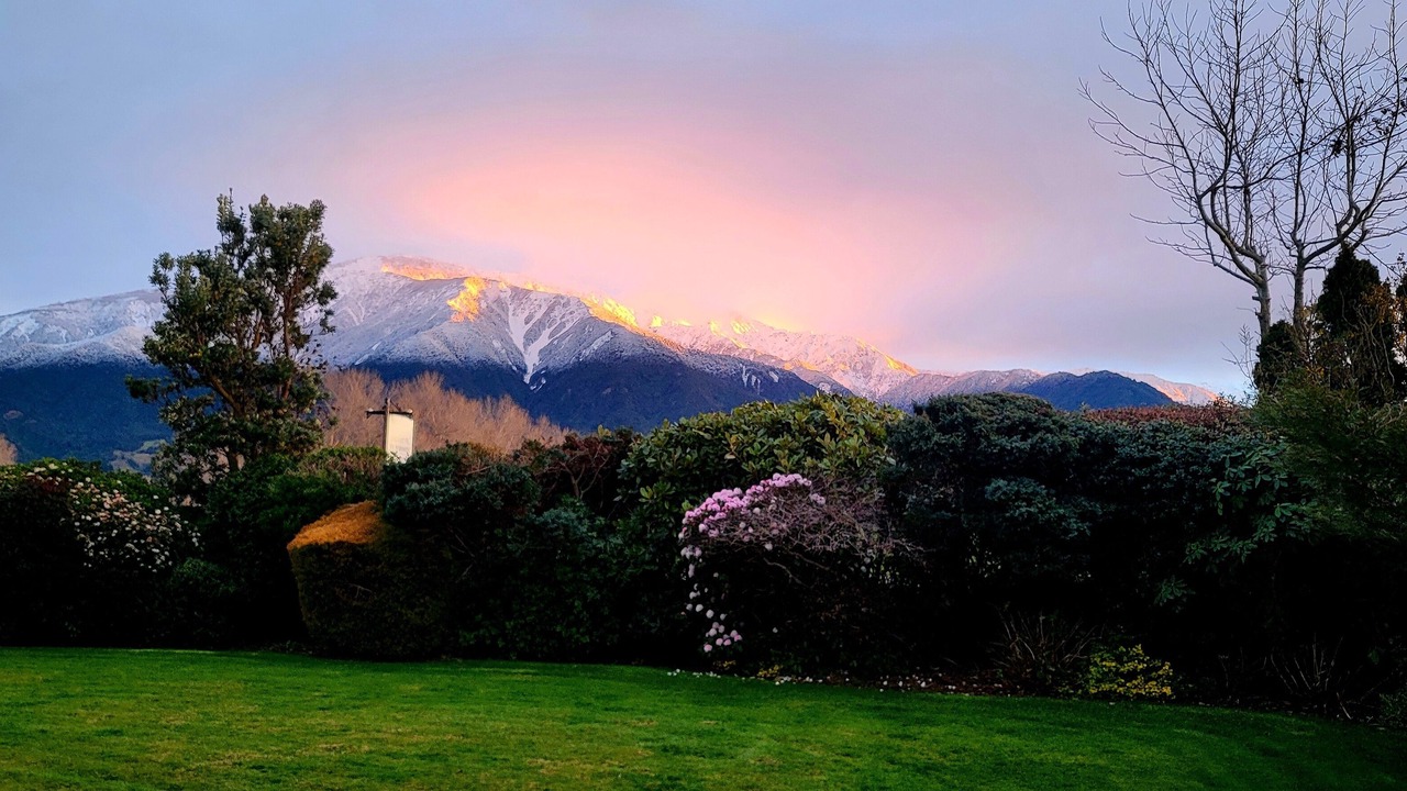 Photo of Others in Kaikoura