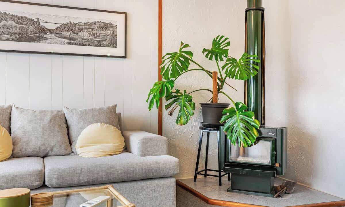 Photo of Livingroom in Ponsonby