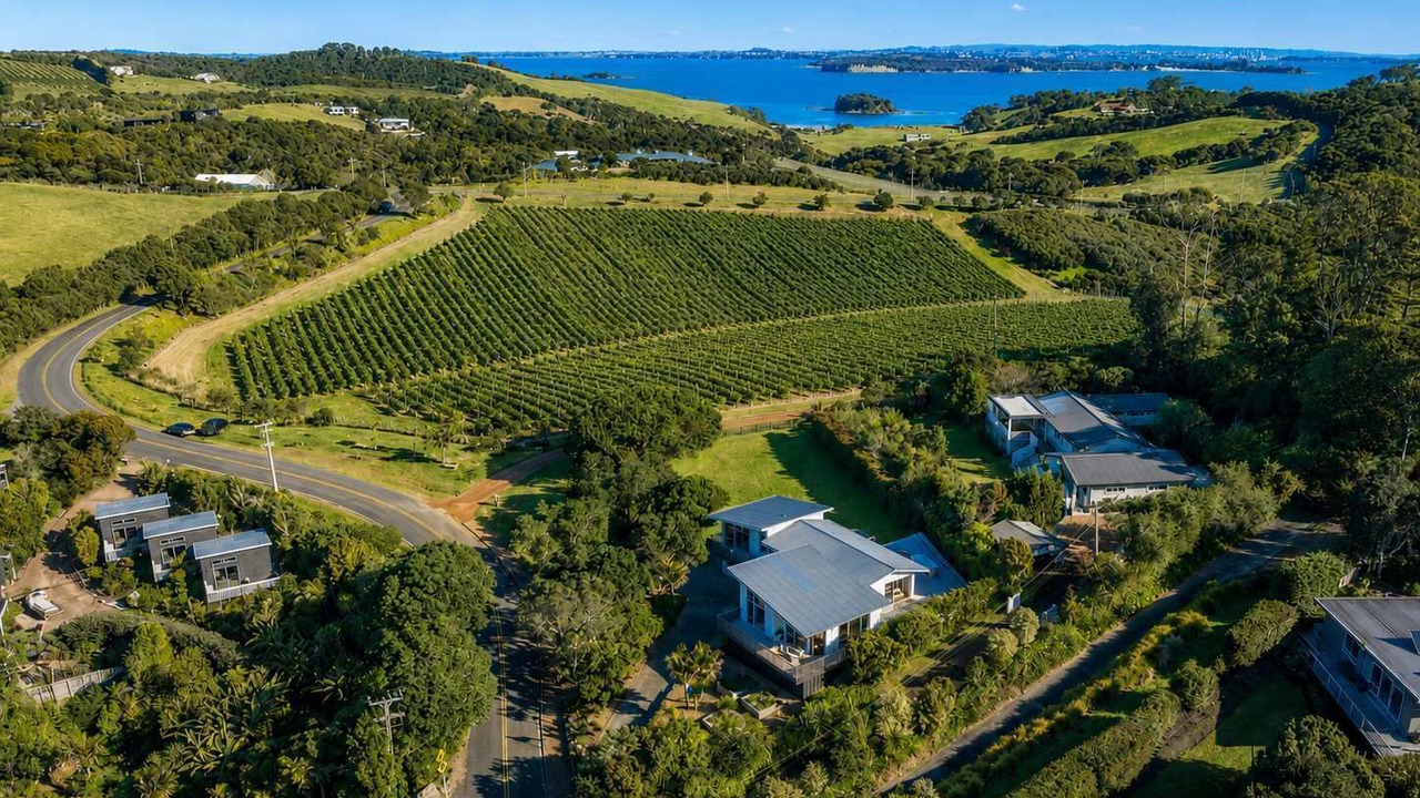 Photo of Outdoor in Oneroa