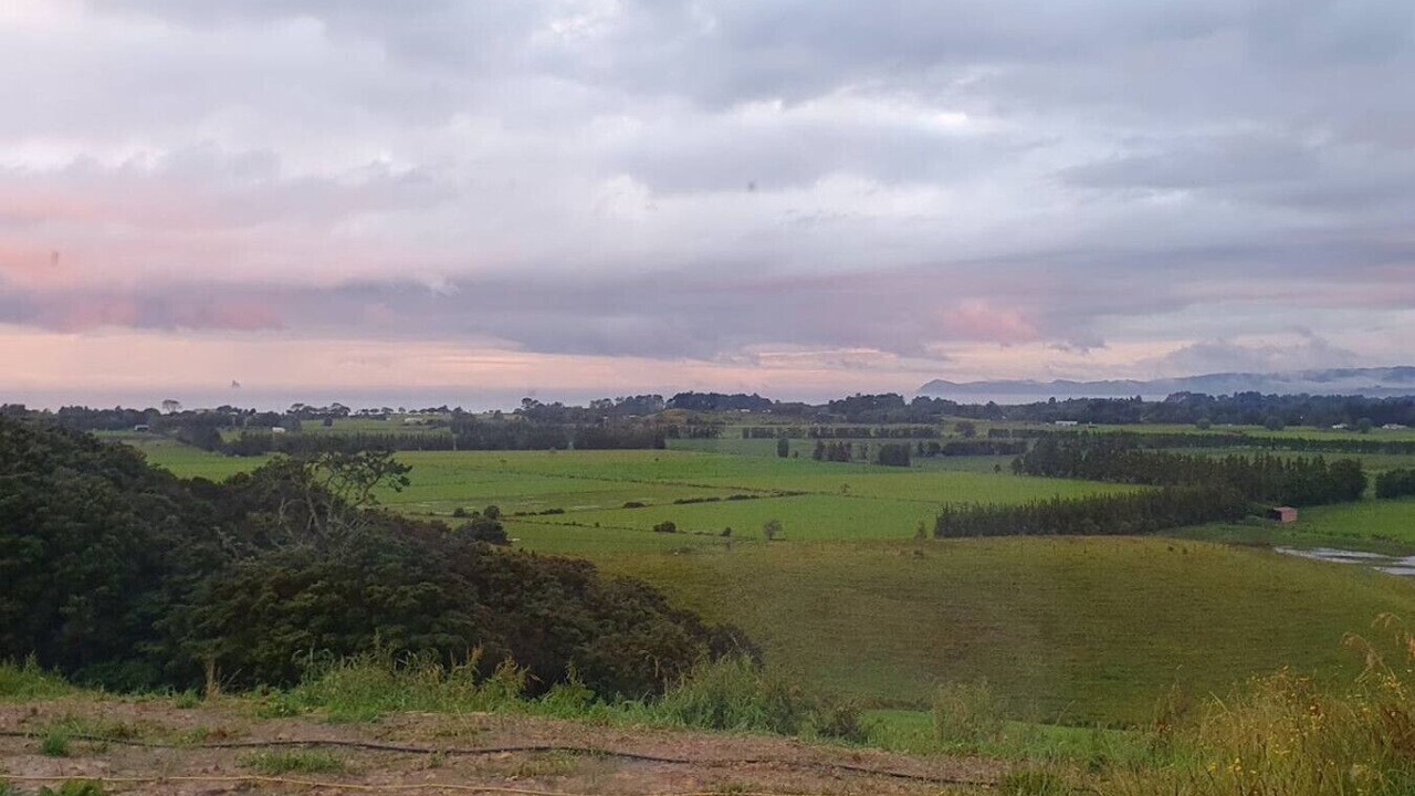 Photo of Others in Ruakaka