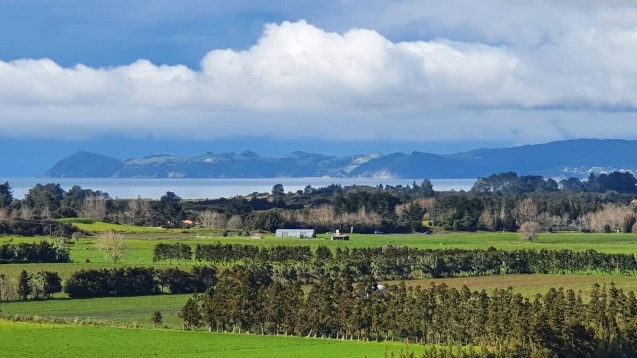 Photo of Others in Ruakaka