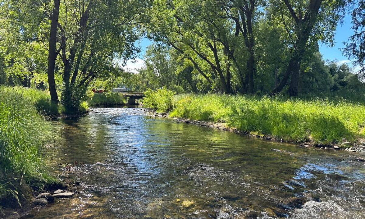 Photo of Others in Twizel