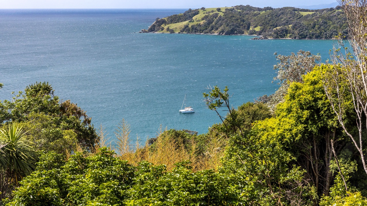 Photo of Others in Waiheke Island