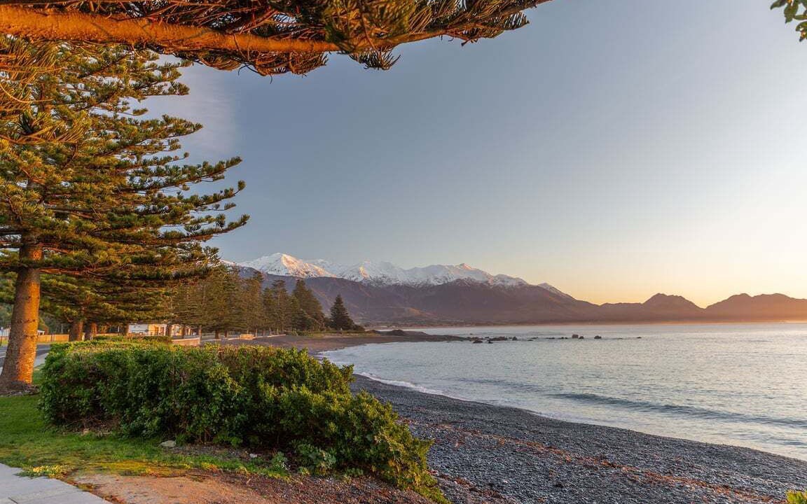 Photo of Others in Kaikoura