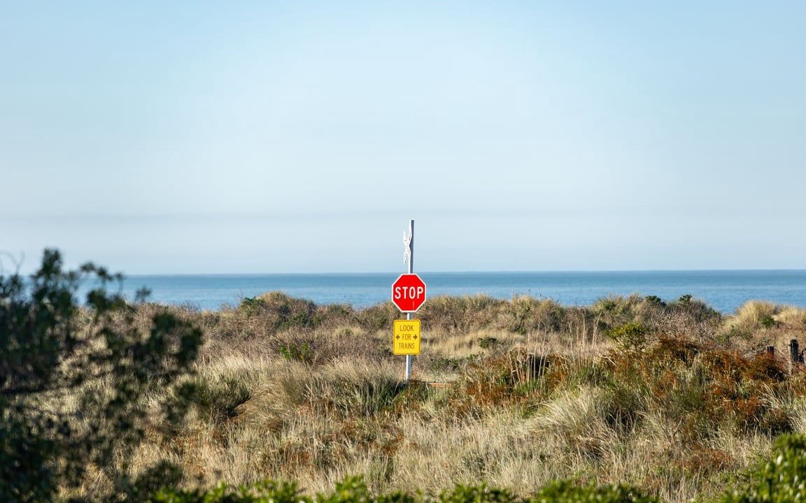 Photo of Others in Kaikoura