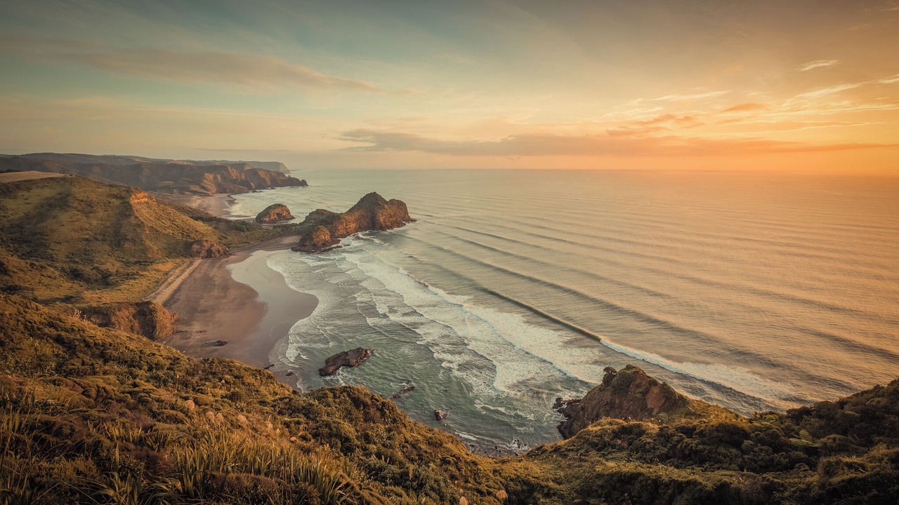 Photo of Others in Te Henga