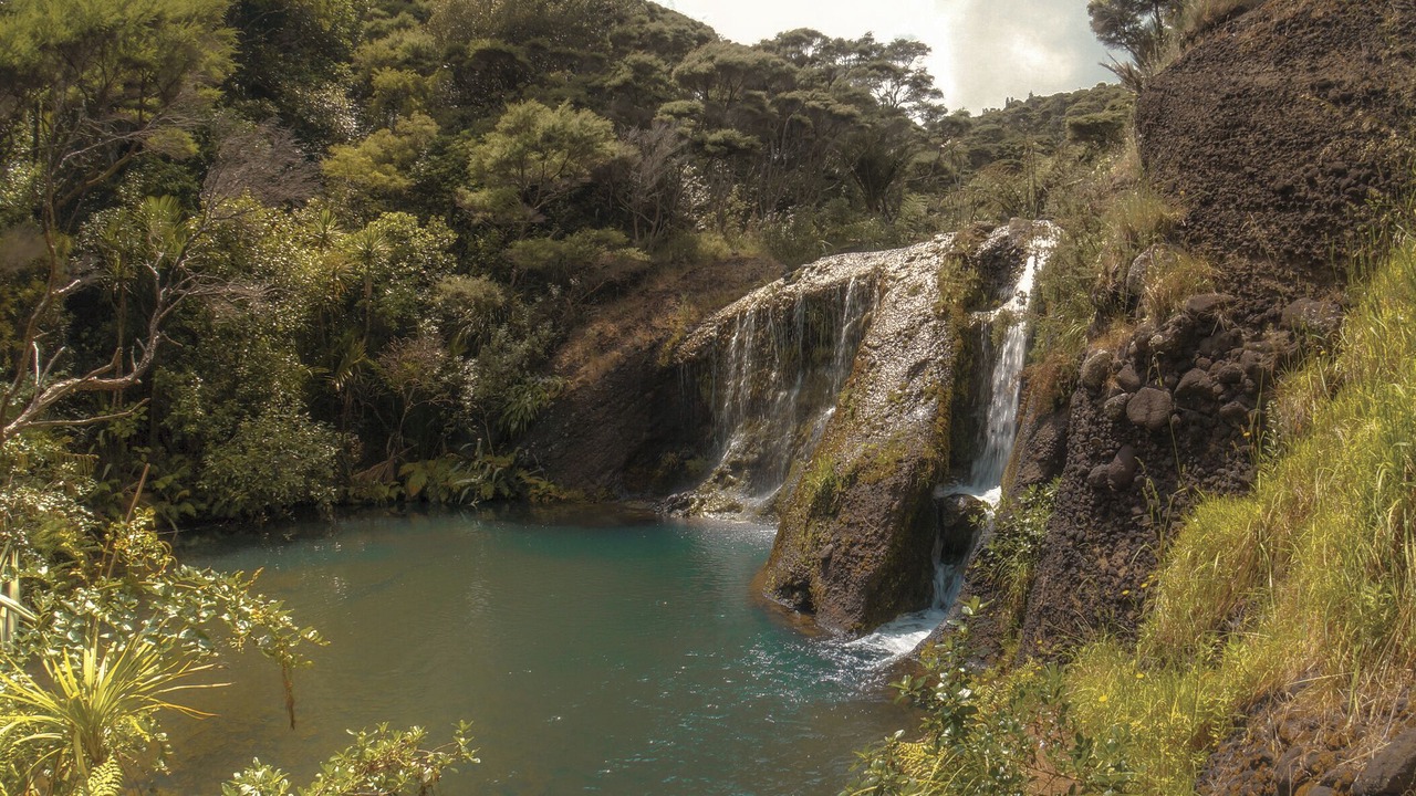 Photo of Others in Te Henga