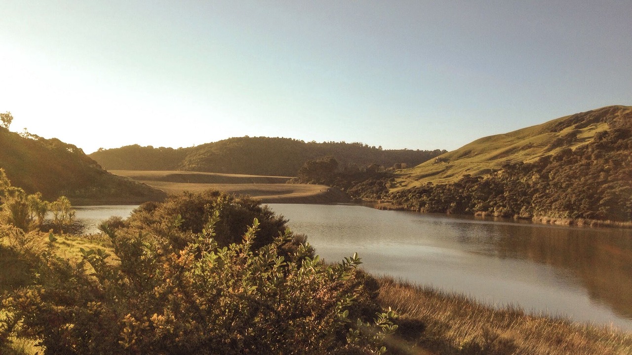 Photo of Others in Te Henga