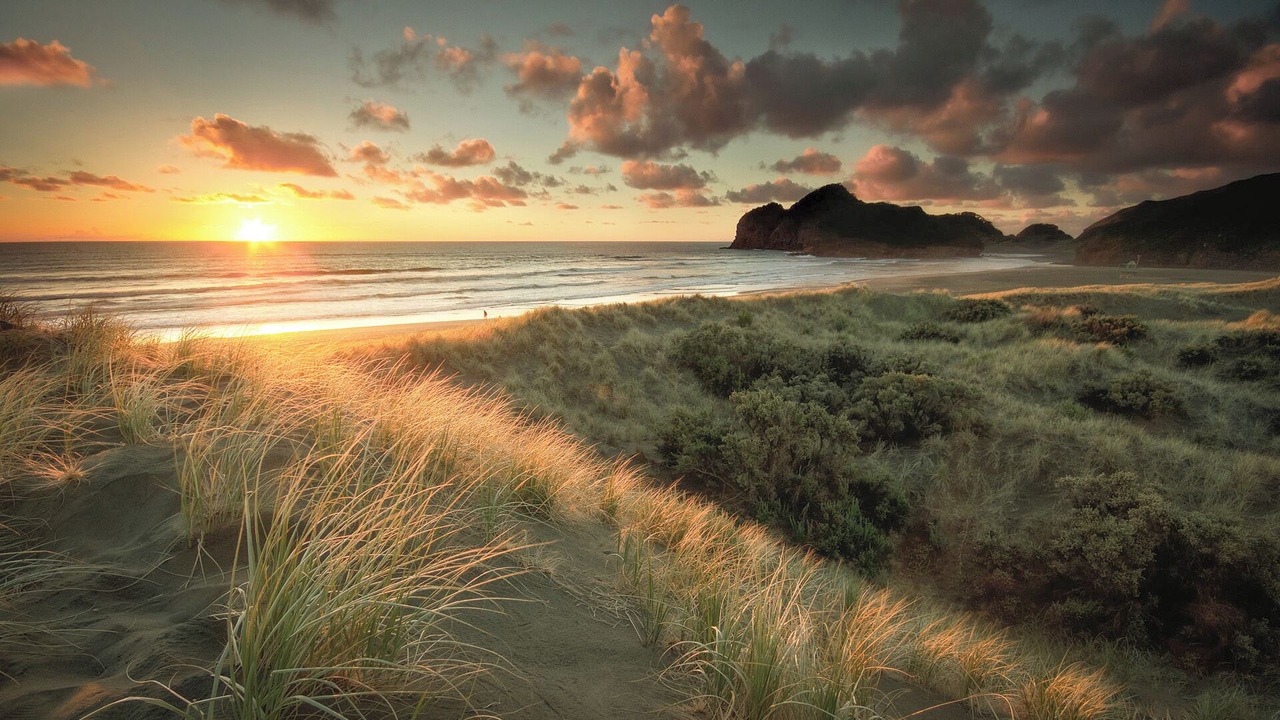 Photo of Others in Te Henga