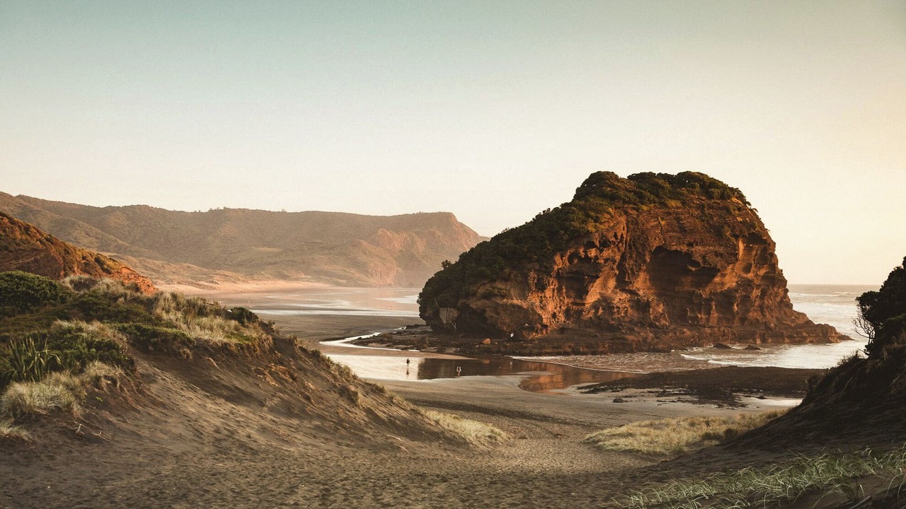 Photo of Others in Te Henga
