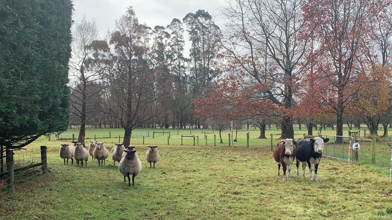 Photo of Others in Clarkville
