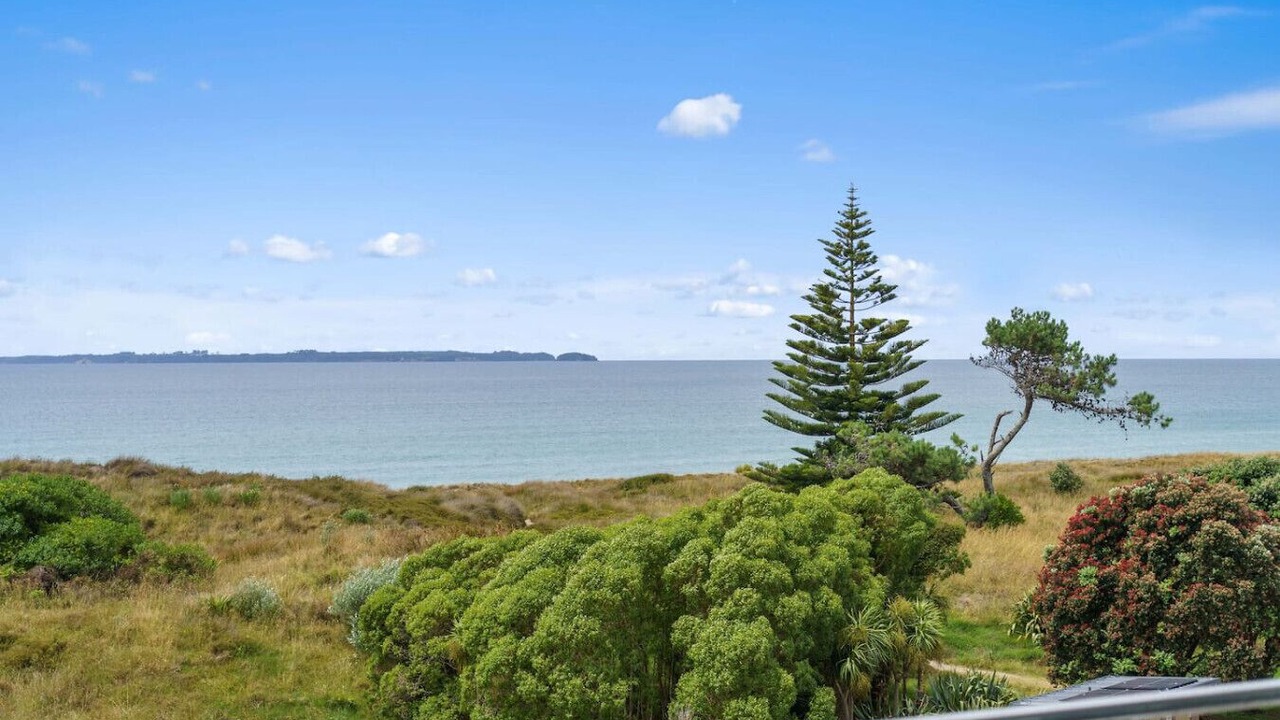 Photo of Outdoor in Papamoa Beach