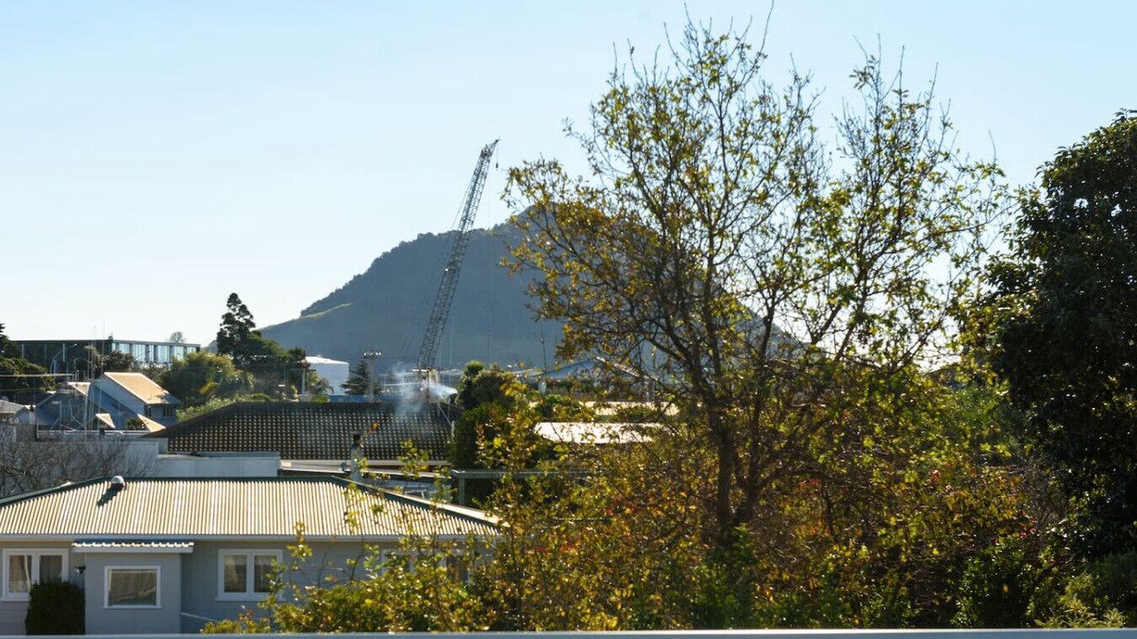 Photo of Others in Mount Maunganui